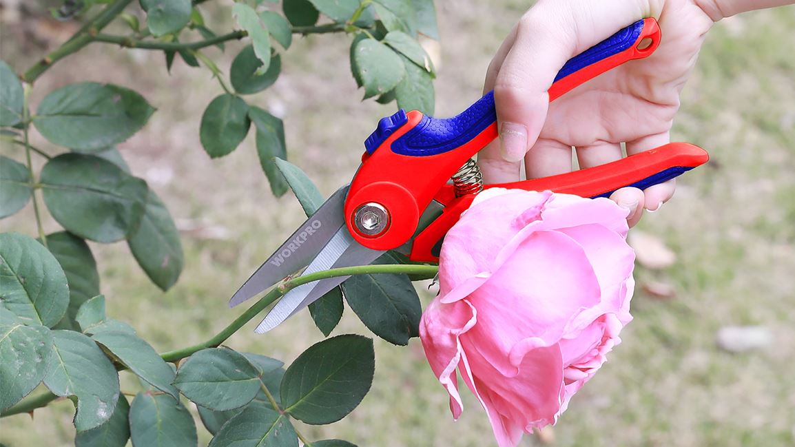 Apa Alat Berbeda yang Digunakan dalam Berkebun?