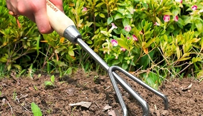 Cara Terbaik Untuk Menjaga Peralatan Berkebun Anda Terorganisir Dan Aman