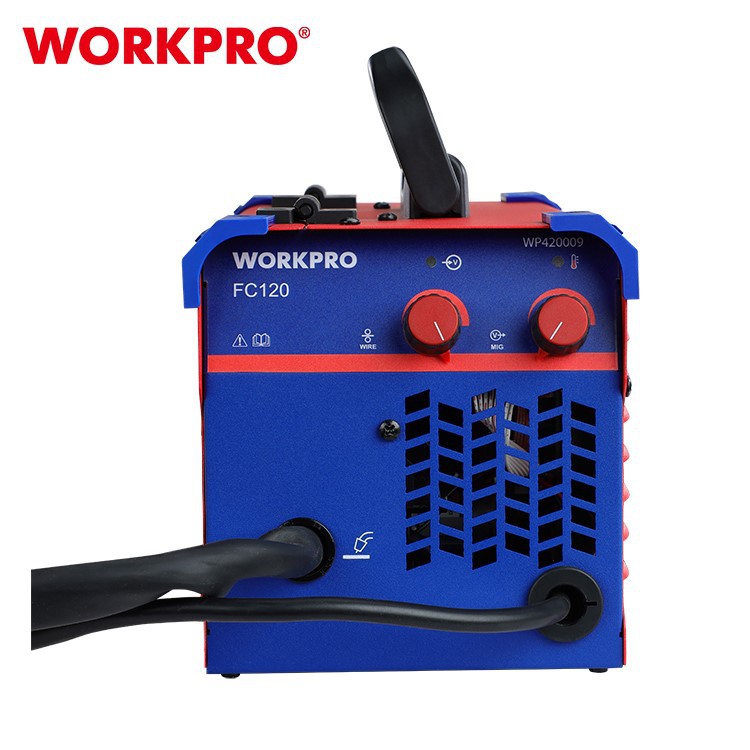 WP420009-4
